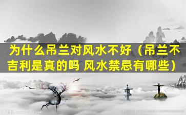 为什么吊兰对风水不好（吊兰不吉利是真的吗 风水禁忌有哪些）